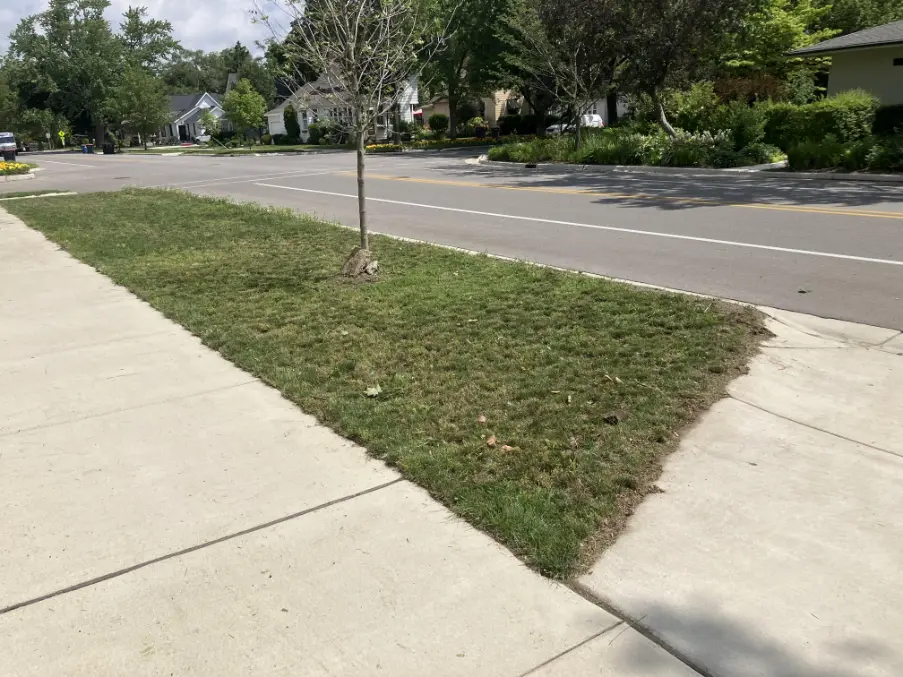 Lawn Care Project 9